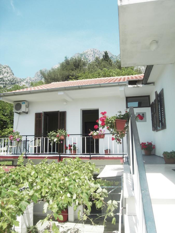 Apartment Ivana Kotor Buitenkant foto
