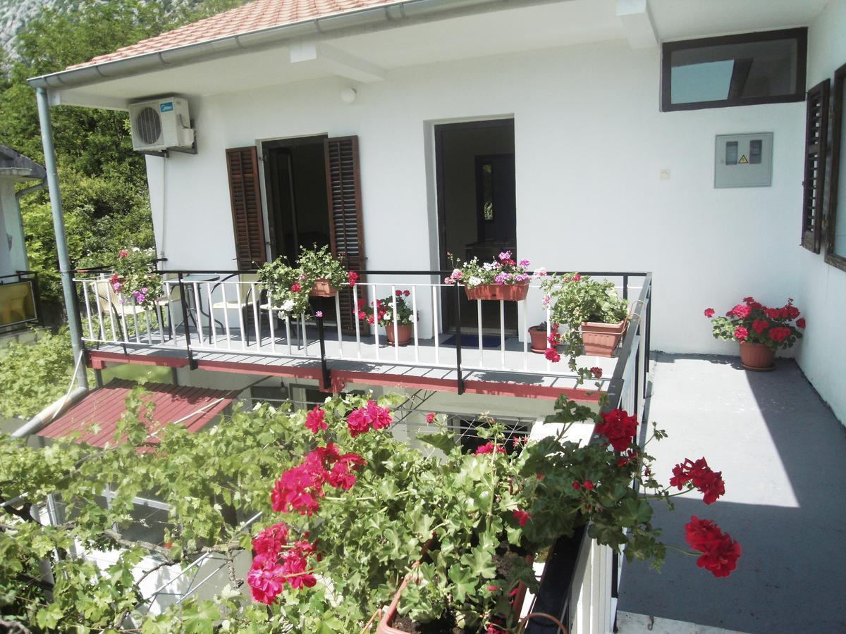 Apartment Ivana Kotor Buitenkant foto