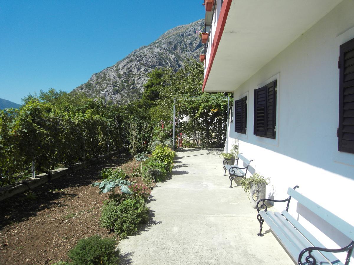 Apartment Ivana Kotor Buitenkant foto